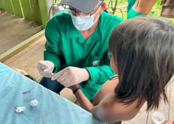 Malária no Amazonas: Casos caem 22% em 2025