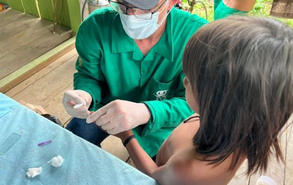 Malária no Amazonas: Casos caem 22% em 2025