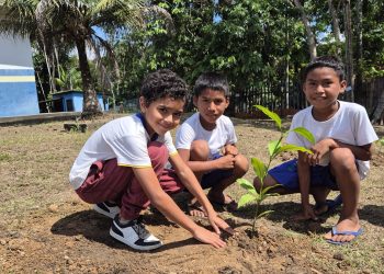 Prefeitura de Manaus promove ação ambiental na RDS do Tupé