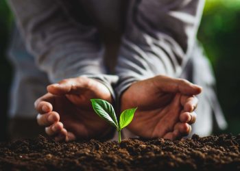 Dia Mundial do Meio Ambiente: Um Chamado à Ação Global pela Natureza