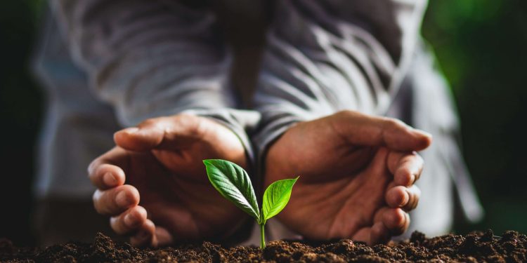 Dia Mundial do Meio Ambiente: Um Chamado à Ação Global pela Natureza
