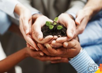 Semana do Meio Ambiente destaca ações para sustentabilidade e proteção dos recursos naturais