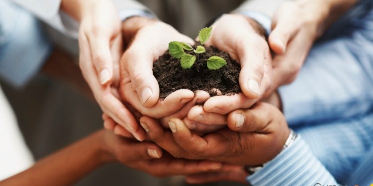 Semana do Meio Ambiente destaca ações para sustentabilidade e proteção dos recursos naturais