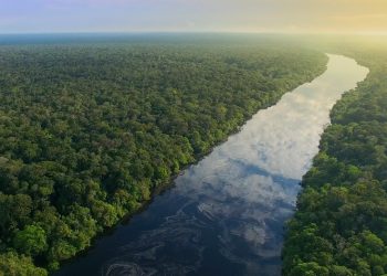 Amazônia e Transição Energética: Soluções Sustentáveis