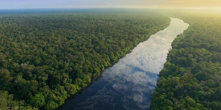 Amazônia e Transição Energética: Soluções Sustentáveis