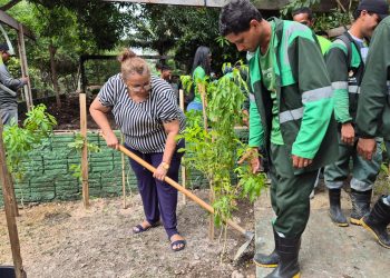 Hortas urbanas em Manaus: Prefeitura implanta pomar e canteiro medicinal no Saica Jorge Teixeira
