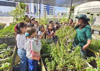 Circuito Ambiental em Manaus promove educação ambiental