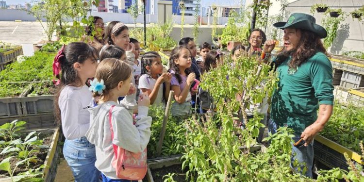 Circuito Ambiental em Manaus promove educação ambiental