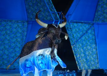 Festival Folclórico do Amazonas 2025: Boi Brilhante campeão
