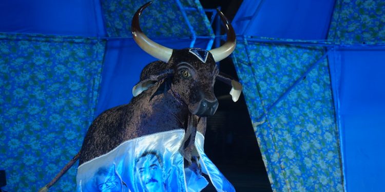 Festival Folclórico do Amazonas 2025: Boi Brilhante campeão