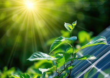 Eficiência energética e mudanças climáticas: como reduzir emissões agora