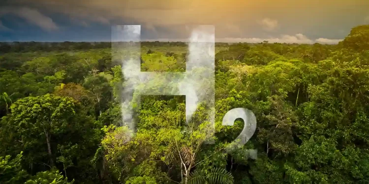 Amazônia: a nova fronteira do hidrogênio verde no Brasil