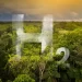 Amazônia: a nova fronteira do hidrogênio verde no Brasil