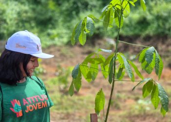 ‘Junho Verde’ supera metas e amplia compromisso ambiental