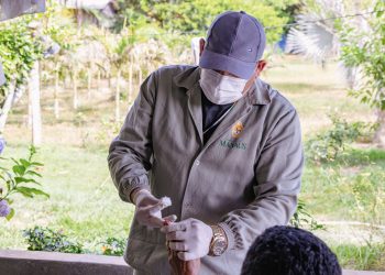 Malária em Manaus: Como se prevenir, sintomas e onde fazer o exame