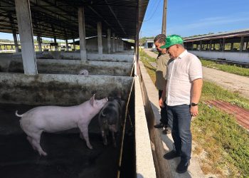 Suframa visita Fazenda Bela Vista: Produção integrada impulsiona interior do Amazonas