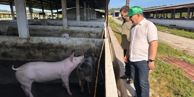 Suframa visita Fazenda Bela Vista: Produção integrada impulsiona interior do Amazonas