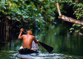 Amazônia e Mudanças Climáticas: Papel dos Povos Tradicionais