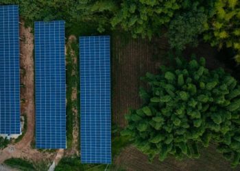 Transição energética no Brasil em 2025: avanços, desafios e o papel estratégico da Amazônia
