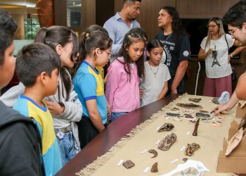 Exposição Fósseis Amazônia: Viagem pela História Natural no Manauara Shopping