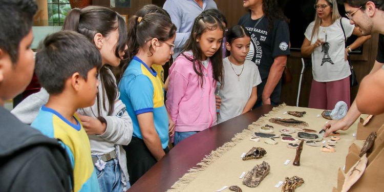 Exposição Fósseis Amazônia: Viagem pela História Natural no Manauara Shopping