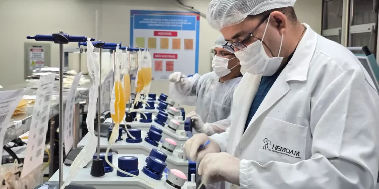 Envio de plasma do Hemoam para Hemobrás inicia produção de medicamentos