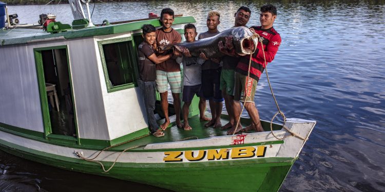 Semana da Sociobiodiversidade 2025 fortalece economias sustentáveis e povos tradicionais