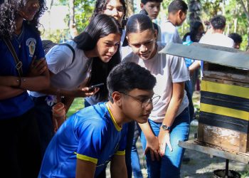 Educação Ambiental no Amazonas: Alunos Aprendem na Prática