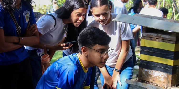 Educação Ambiental no Amazonas: Alunos Aprendem na Prática