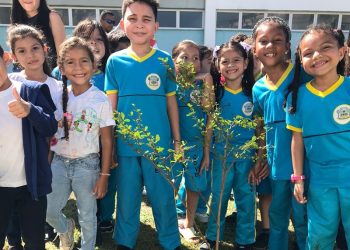 Prefeitura planta mais de 20 mil árvores em escolas e espaços públicos