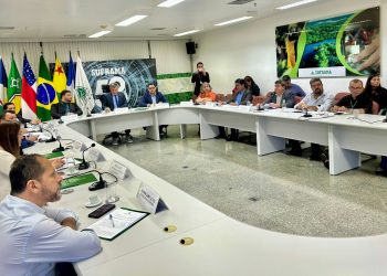 Reunião do CAS da Suframa destaca PPB do ar-condicionado e ampliação de áreas industriais