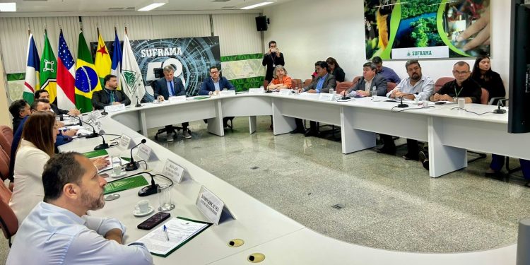 Reunião do CAS da Suframa destaca PPB do ar-condicionado e ampliação de áreas industriais