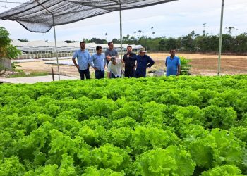 Suframa visita empreendimento de hidroponia em Manaus