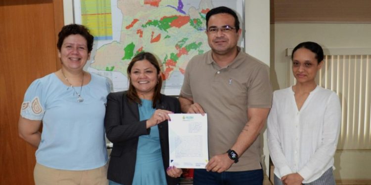 Fiscalização Ambiental Integrada no Amazonas: Acordo entre Ipaam e Crea-AM fortalece ações conjuntas