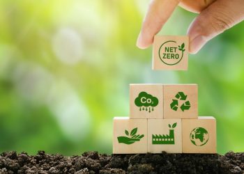 Dias Temáticos da COP30: Conheça a Programação Oficial da Conferência em Belém