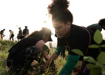 Mutirão Global pelo Clima promove reflorestamento na Serra do Vulcão