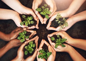 COP30 Events Belém – Plataforma reúne eventos paralelos da COP30