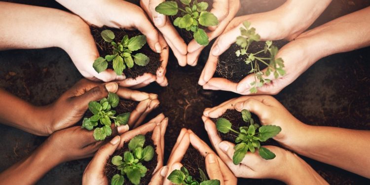 COP30 Events Belém – Plataforma reúne eventos paralelos da COP30