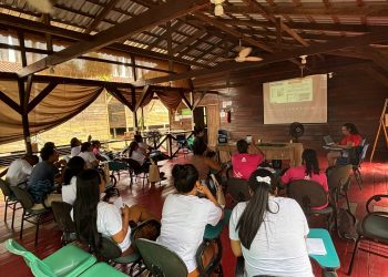 Projeto Elas Reparam: capacitação em manutenção de eletrodomésticos transforma vidas na Amazônia