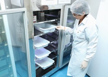 Hemoam convoca doadores de sangue neste feriado em Manaus