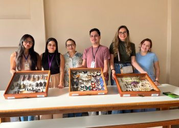 Diversidade de dípteros amazônicos revela 50 novas espécies em coleções científicas