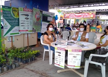 Ipaam promove palestras sobre gestão ambiental