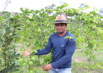 Capacitação de produtores rurais no Amazonas fortalece agricultura sustentável em 2025