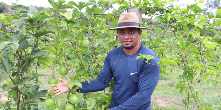 Capacitação de produtores rurais no Amazonas fortalece agricultura sustentável em 2025