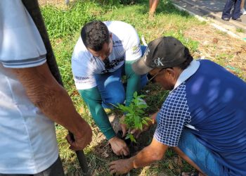 Prosai Parintins realiza ação socioambiental em homenagem ao Dia da Árvore