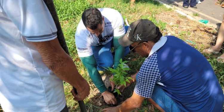 Prosai Parintins realiza ação socioambiental em homenagem ao Dia da Árvore