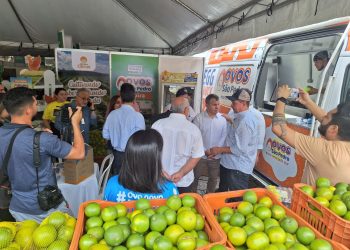 Feira de Empreendimentos e Negócios do DAS
