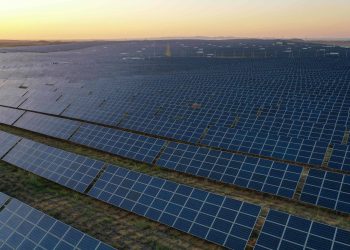 A meta é triplicar renováveis, mas onde entra a Amazônia?