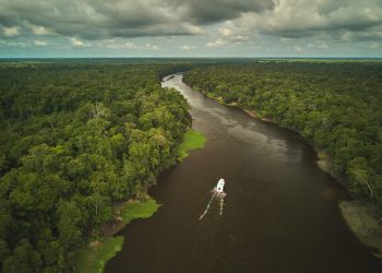 Banzeiro da Esperança: Expedição Amazônica segue rumo à COP30 em Belém