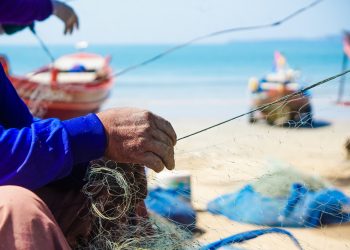 Pré-COP dos Povos e Comunidades Tradicionais: segundo encontro virtual debate biomas costeiros e marinhos